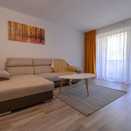 Transylvanian Apt. W/ Lrg. Terrace And Parking - Karpatenhaus Braşov Eksteriør billede