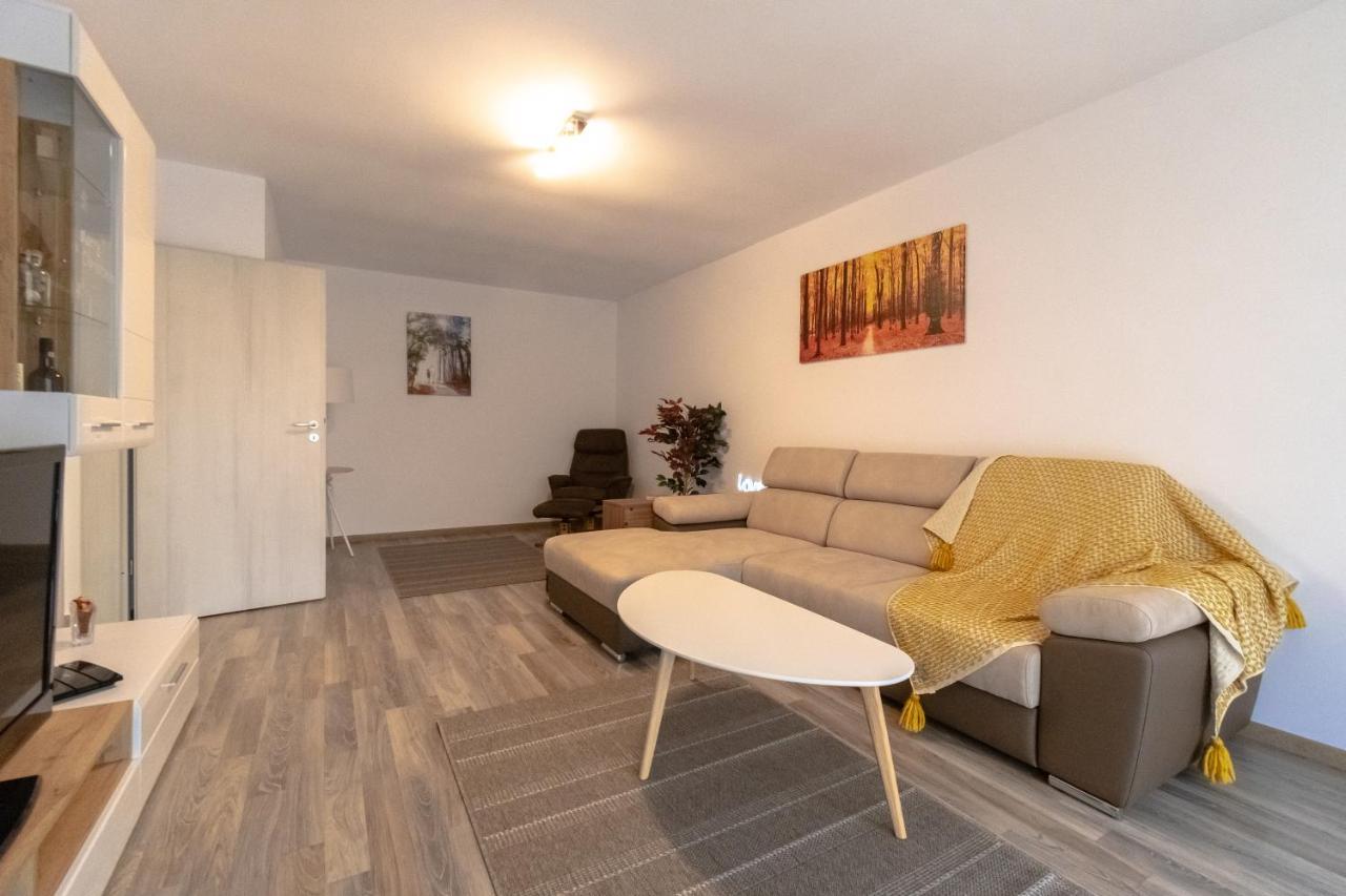 Transylvanian Apt. W/ Lrg. Terrace And Parking - Karpatenhaus Braşov Eksteriør billede